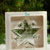 1981 Mayor's Tree - FIRST In Series -Hallmark MAGIC Ornaments Shop 1981mayortree