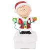 2015 Peanuts Gang Christmas Light Show - Charlie Brown