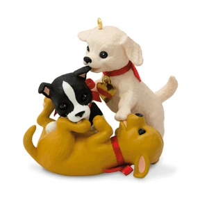 2017 Puppy Love - KOC EVENT 3 2017 Puppy Love - KOC EVENT