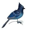 2023 Beauty Of Birds #19 Steller's Jay - JUST ARRIVED!!