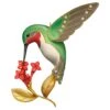 2016 Dazzling Hummingbird - Beauty Of Birds Premium Complement