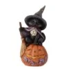 2023 Black Cat On Pumpkin Figurine - Jim Shore