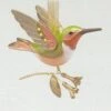 2018 Beauty Of Birds Hummingbird Surprise - GOLD - Rare