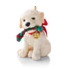 2013 Puppy Love #23 - Golden Doodle 1 2013 Puppy Love #23 - Golden Doodle -Hallmark MAGIC Ornaments Shop qx9065