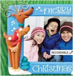 2010 We Wish You A Merry Christmas - RECORDABLE -Hallmark MAGIC Ornaments Shop qxg3156d1