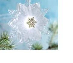 2010 Wonder And Light, Shimmering Snowflake - Magic Light Show !